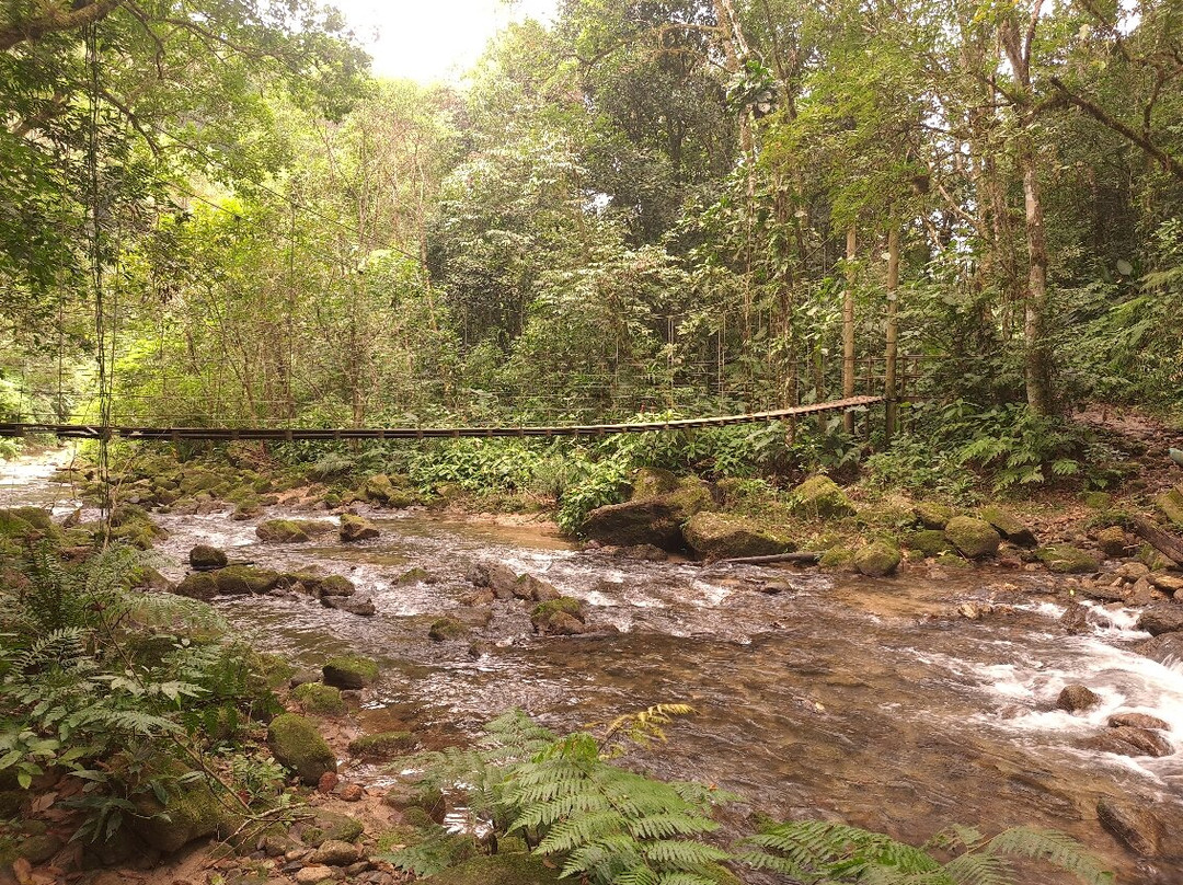 Cachoeira da Pedra Lisa-Boicucanga必去景点