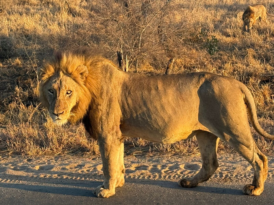 Famba Travel & Safaris