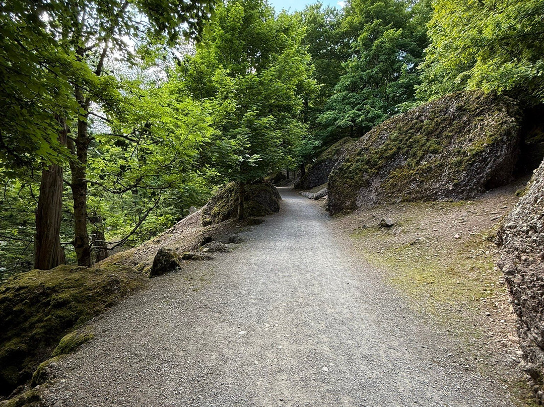 Natur- und Tierpark Goldau-Goldau必去景点