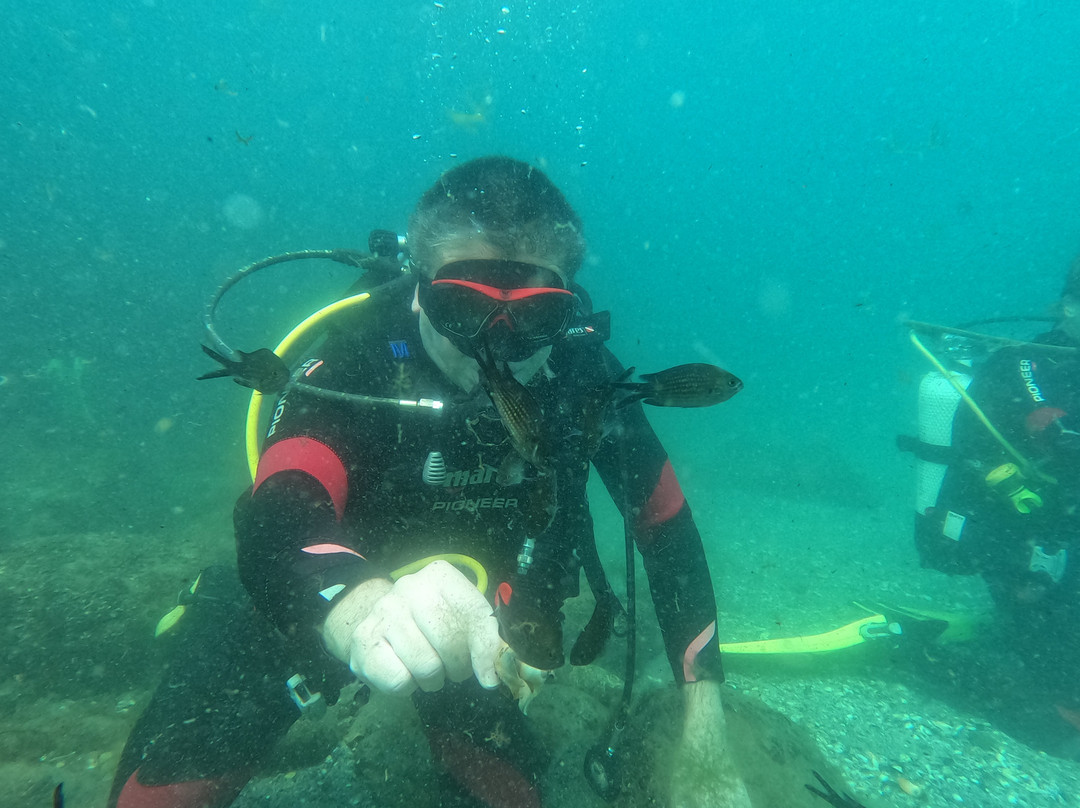 Sub Diving-索佐波尔必去景点