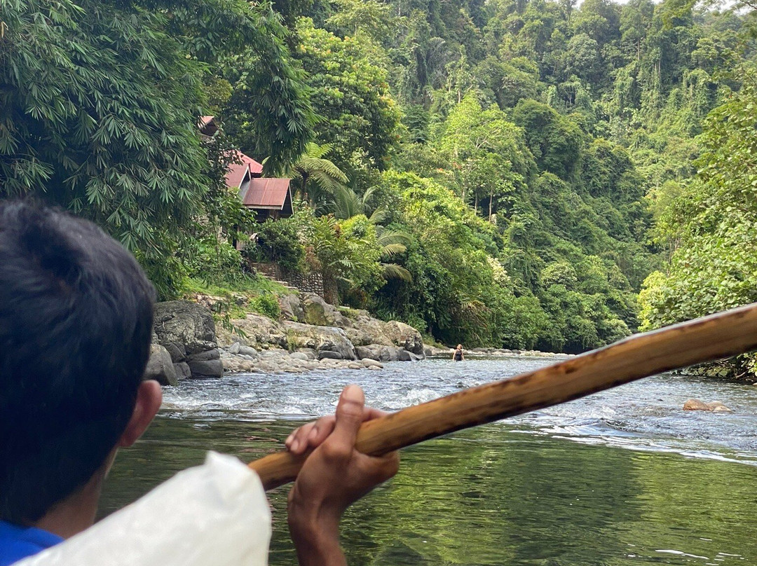 Sumatra Orang Utan Treks-武吉拉旺必去景点