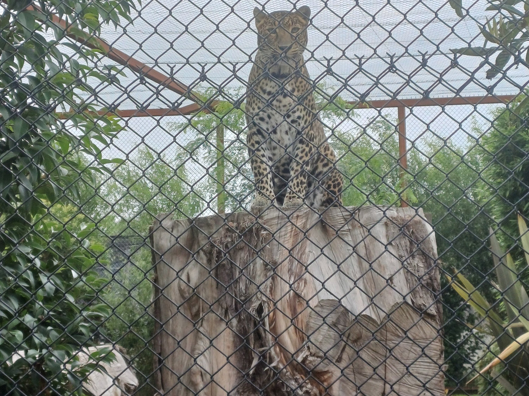 Rendez-vous en Terre Animale-Sury-aux-Bois必去景点
