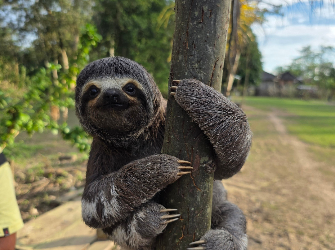 Jairo Mejia Prado-伊基托斯必去景点
