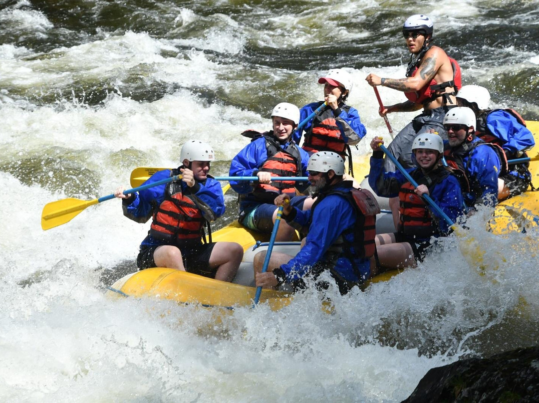 North Country Rivers-Bingham必去景点