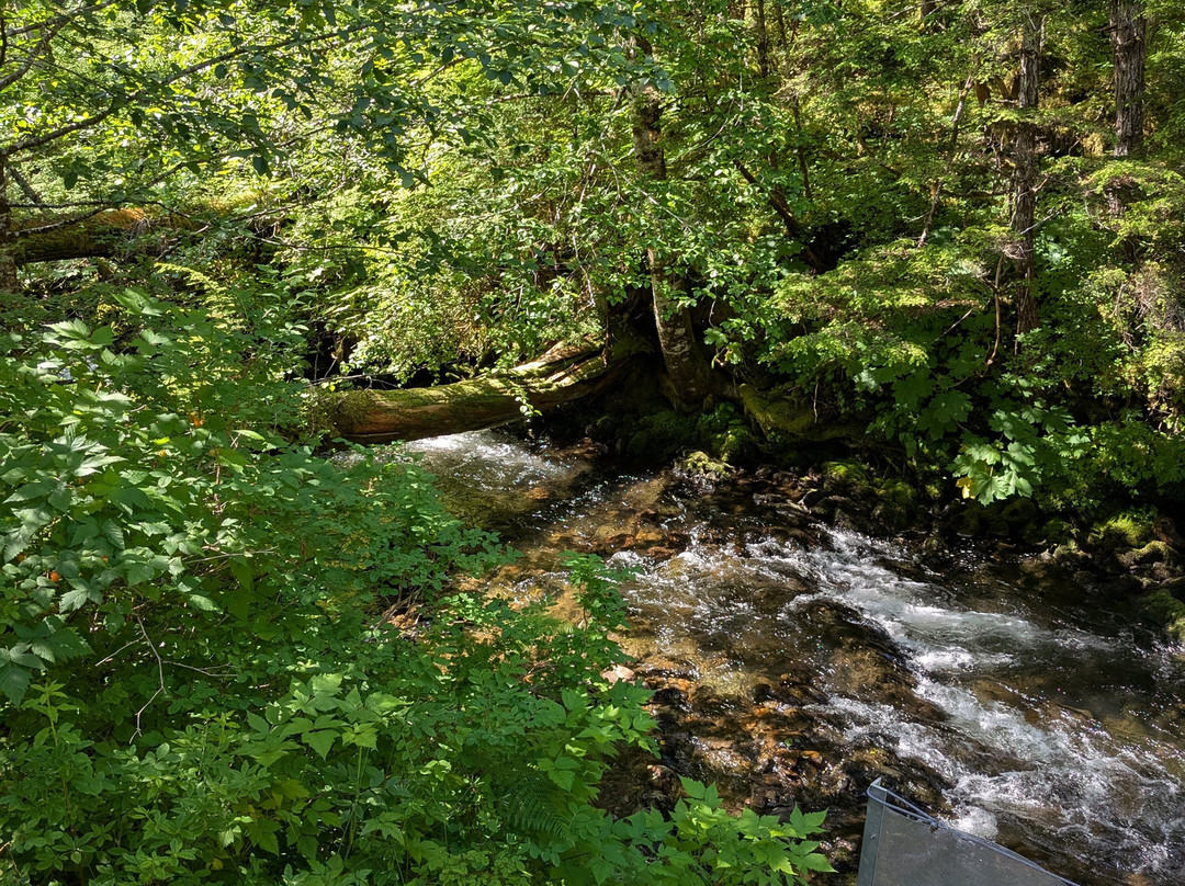Hoonah ATV Tours-胡纳必去景点