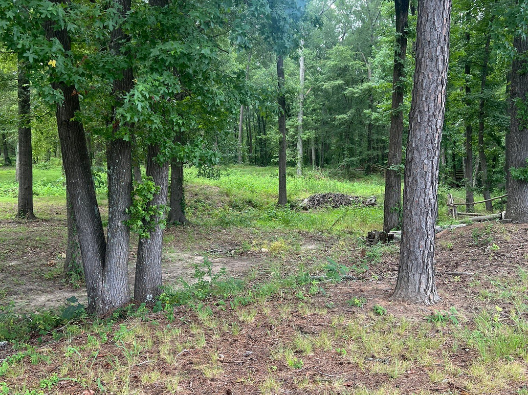 Camp Ford-泰勒必去景点