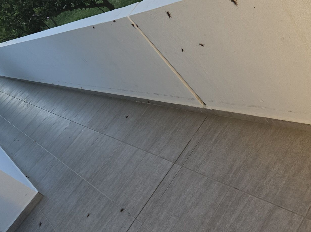 Evita Resort Hotel主图