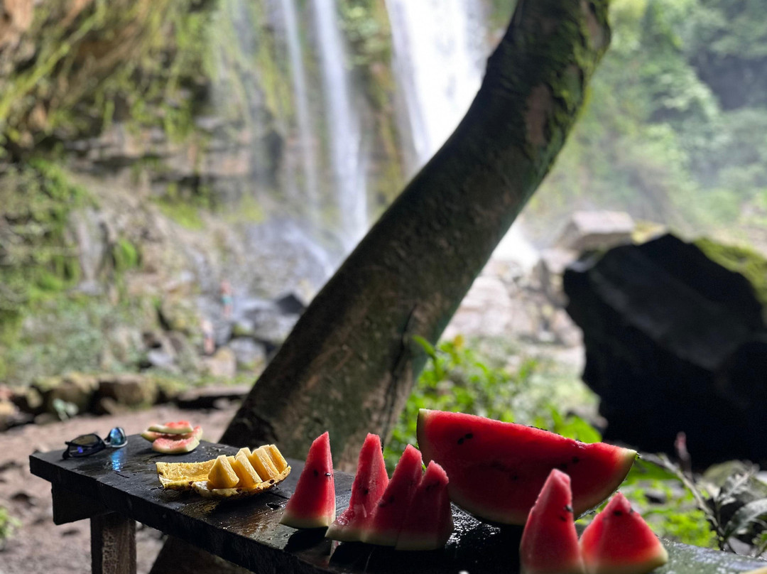 Aracari Experience-乌维塔必去景点