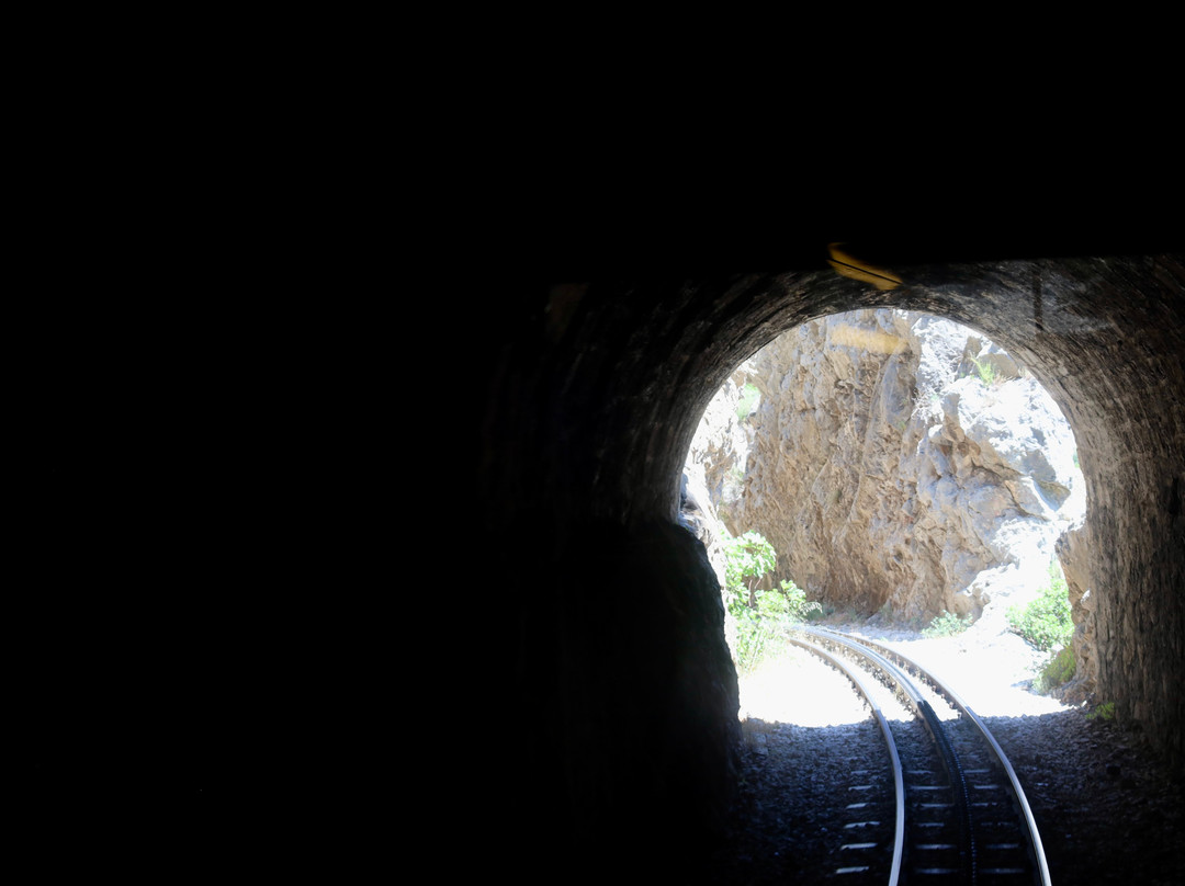 Odontotos Rack Railway-卡拉夫里塔必去景点