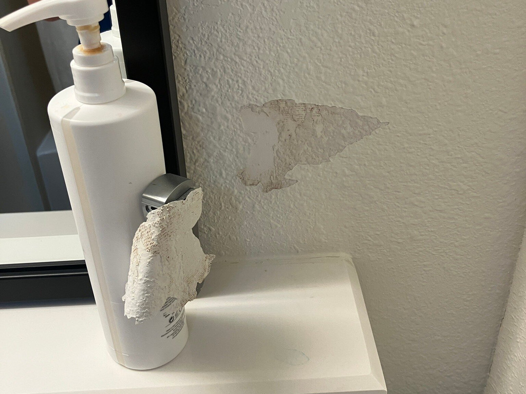 Hampton Inn Lafayette主图