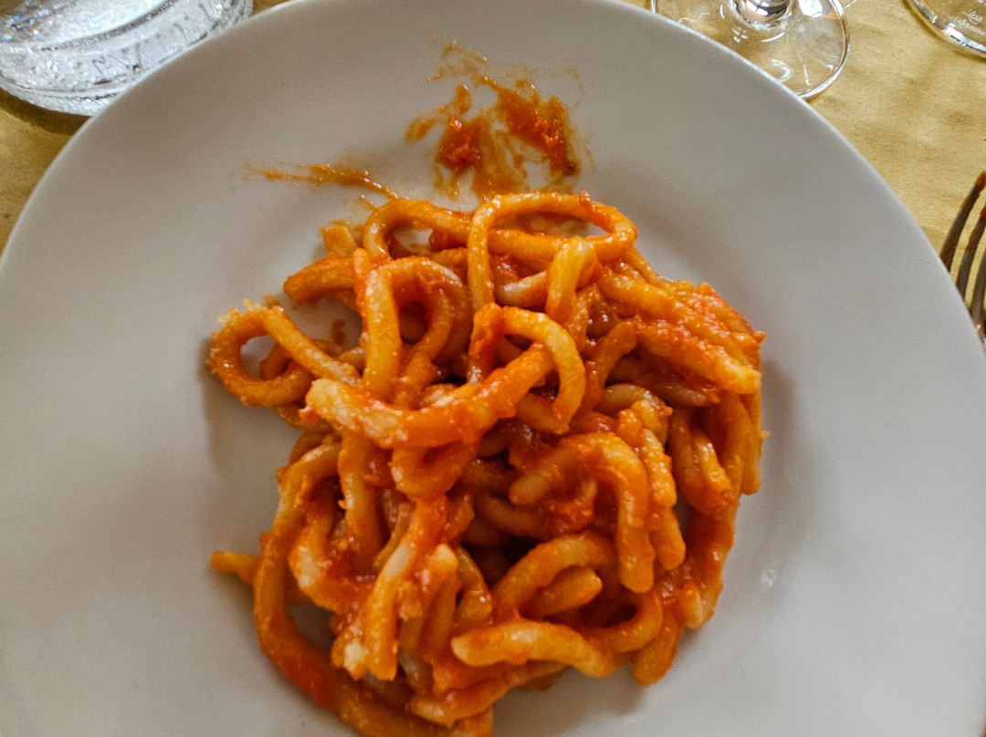 Fattoria Pulcino-蒙特普尔恰诺必去景点