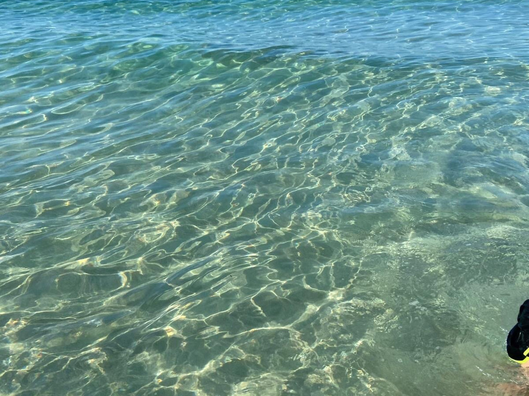 Punta Prosciutto-切萨雷奥港必去景点