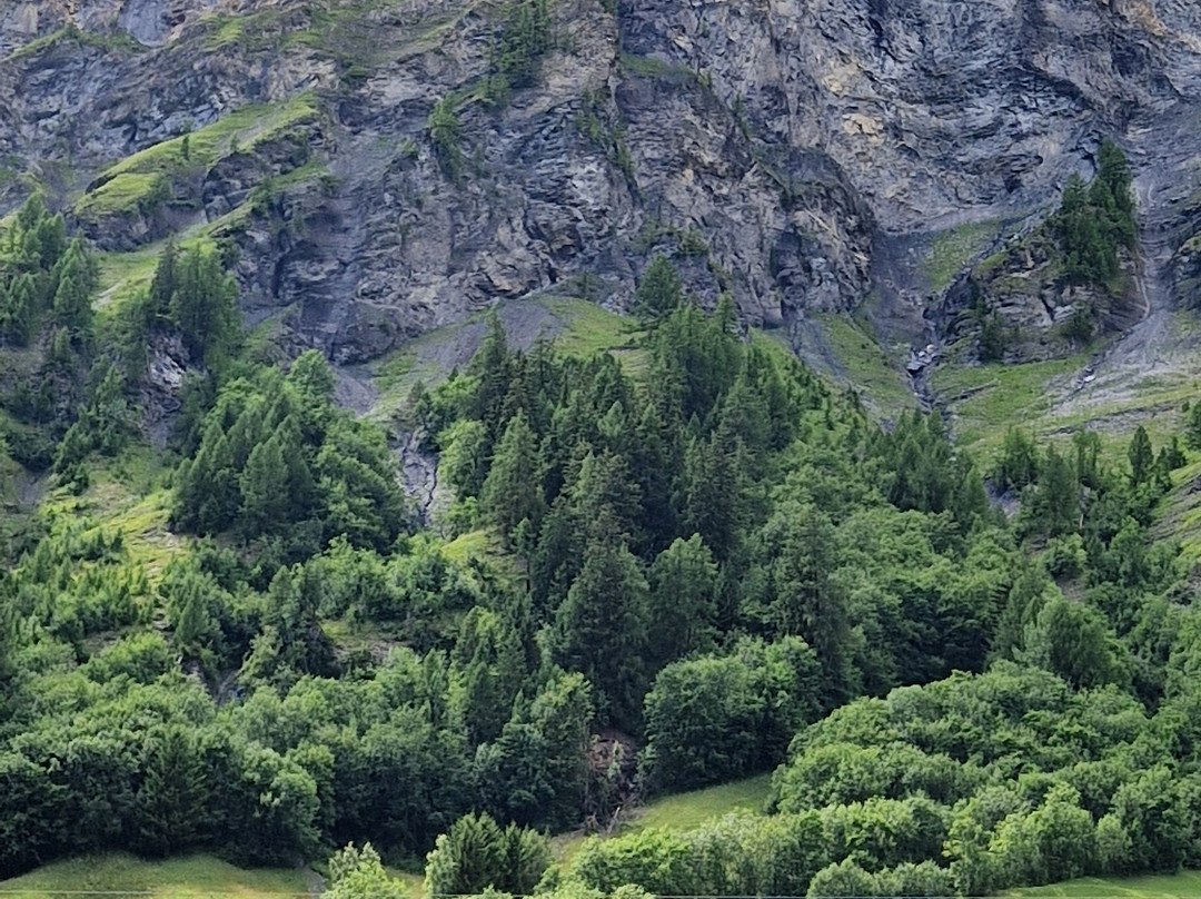 维多莉亚酒店主图