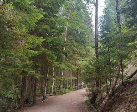 Elev8 Nature Experiences – Nuuksio Tours From Central Helsinki-赫尔辛基必去景点