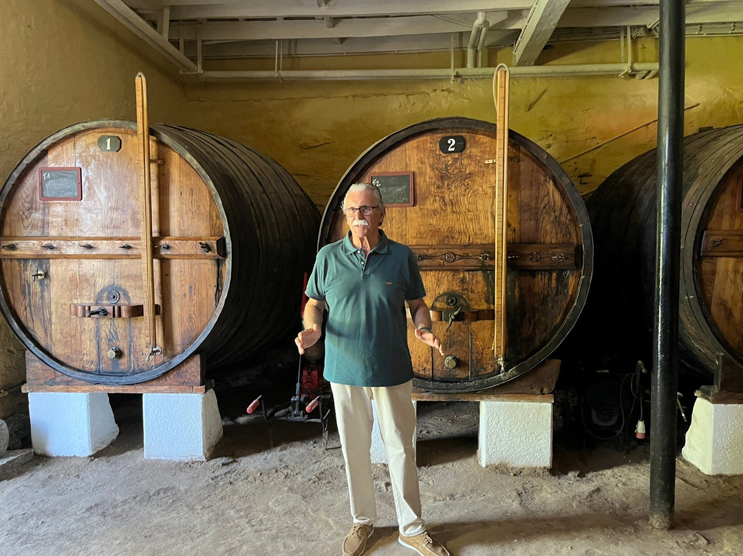 Quinta da Casa Amarela-Lamego必去景点