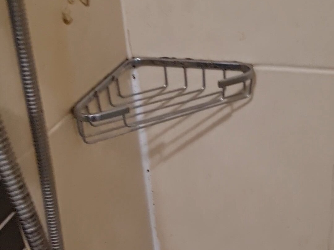 风铃草酒店主图