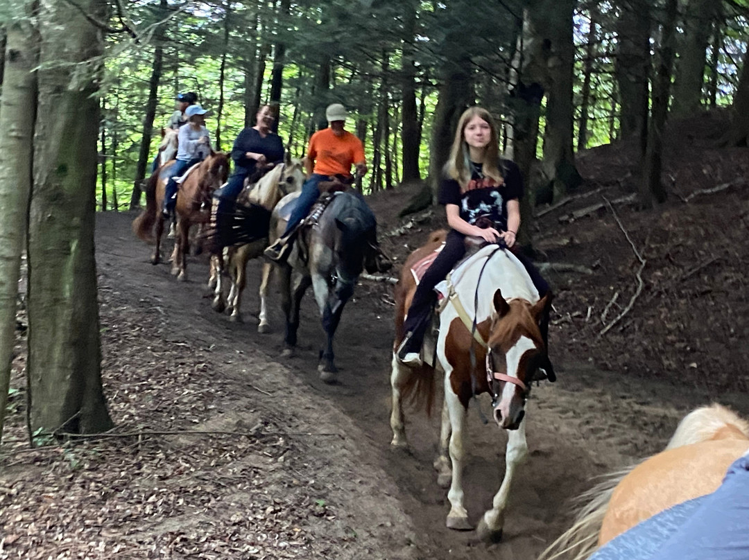Stony Lake Stables-New Era必去景点