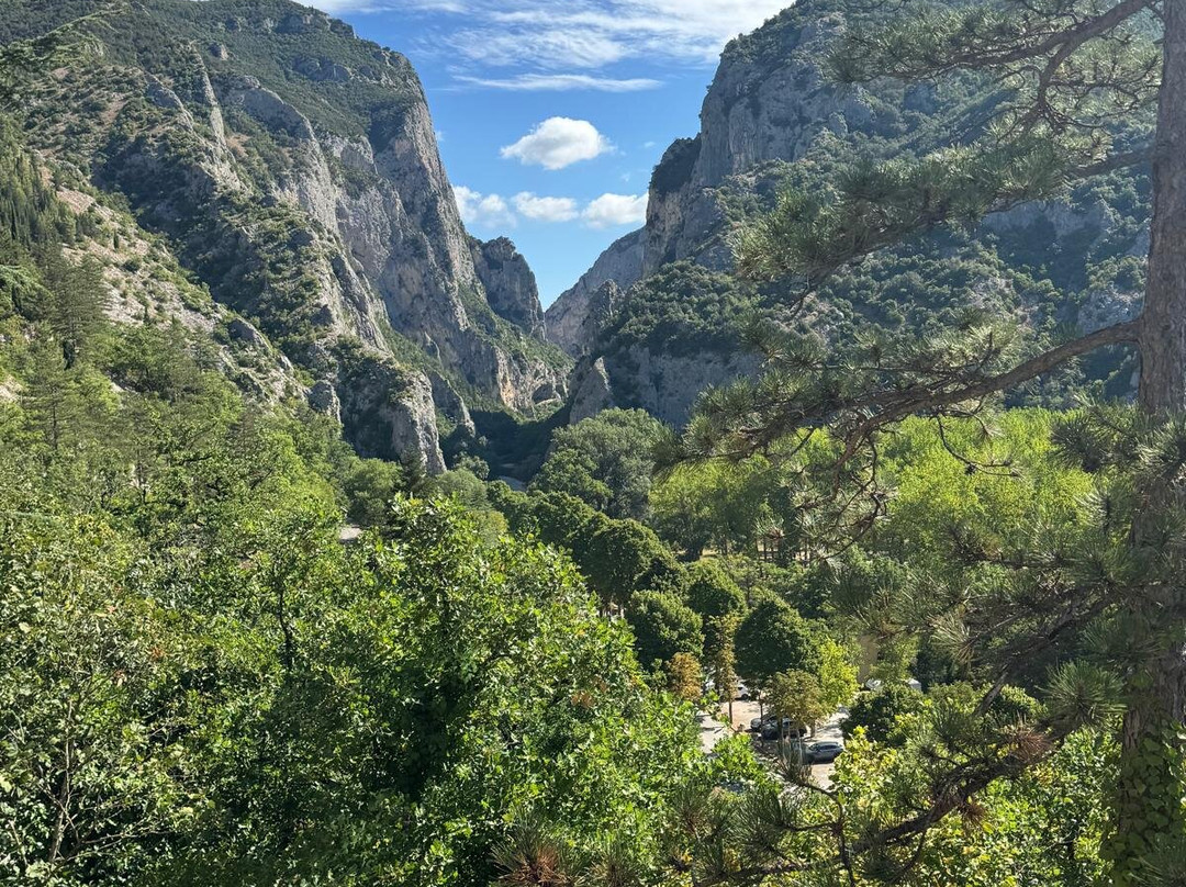 La Forestale Luxury Ecolodge主图