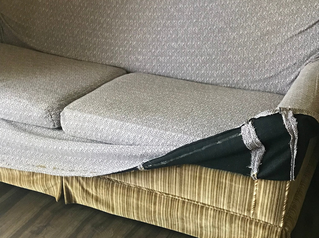 Warm Mineral Springs Motel主图