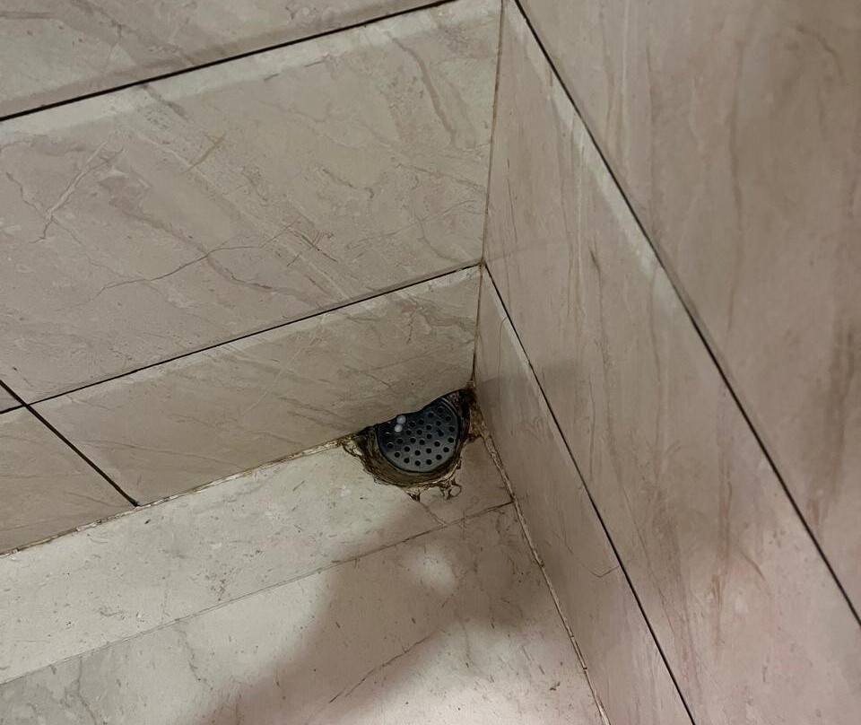 Mayflower Hotel主图