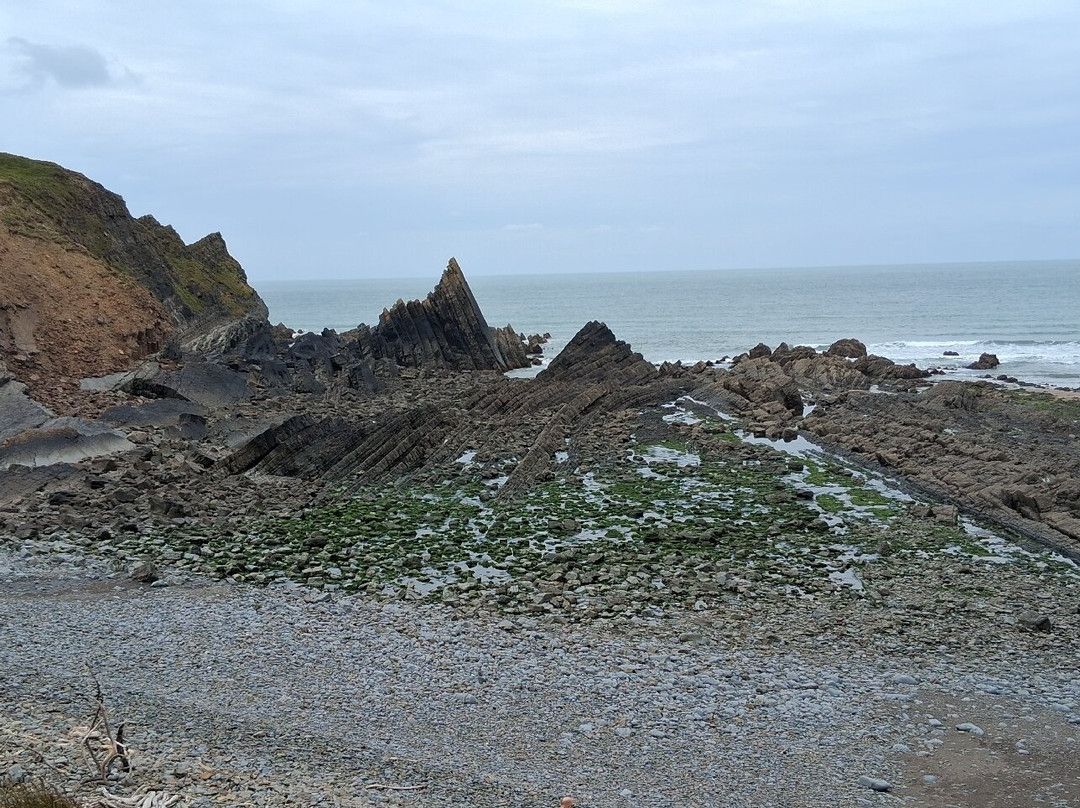 Hartland Abbey & Gardens-Stoke必去景点