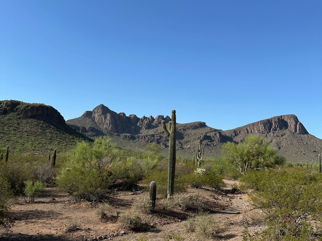 Tucson Mountain Stables-图森必去景点