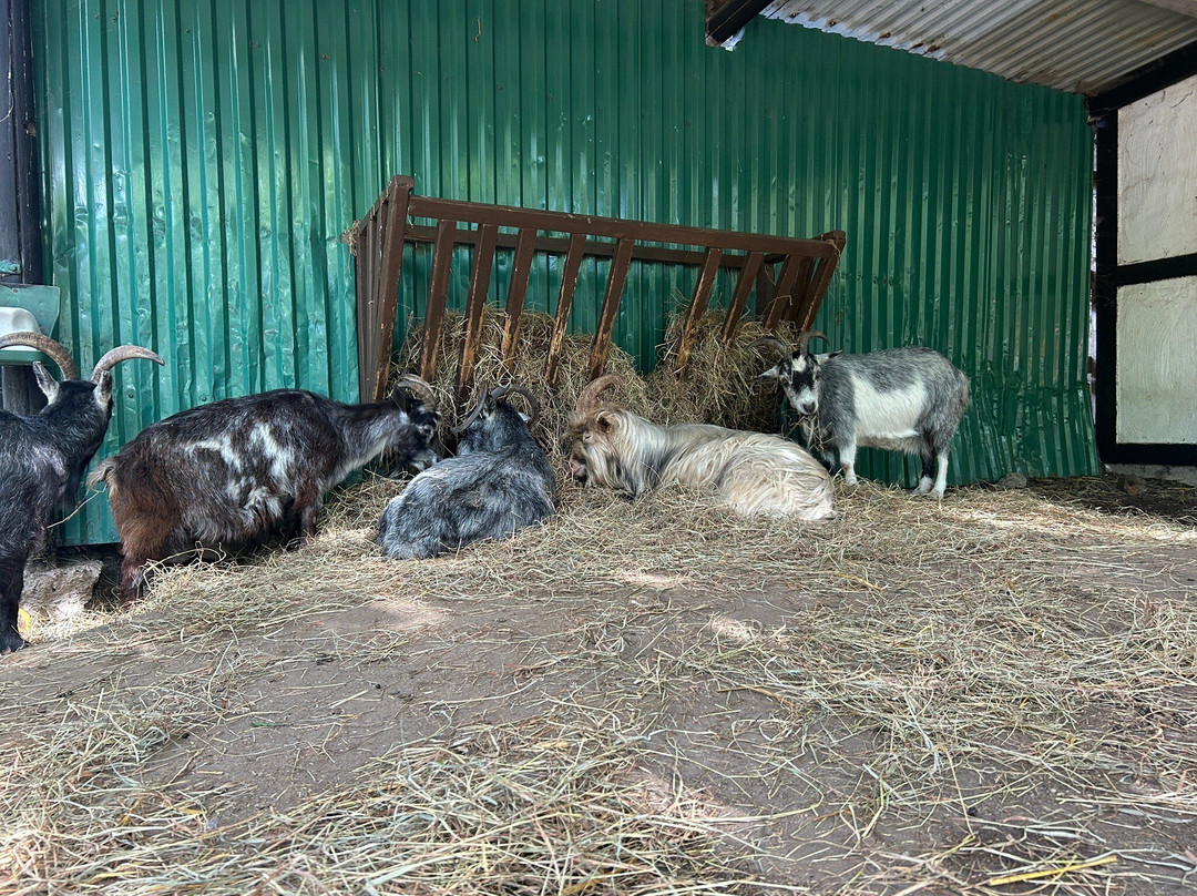 Ölands Djur & Nöjespark-Färjestaden必去景点