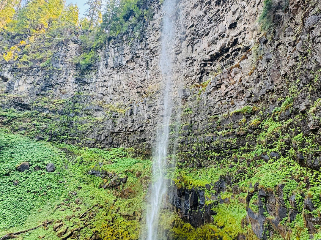 Umpqua's Last Resort主图