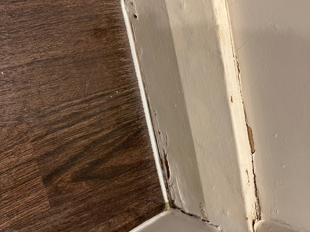 普瑞米尔哈利法克斯酒店主图