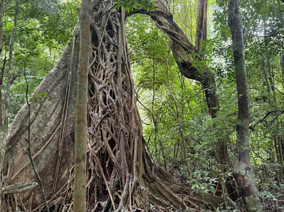 C. R. Referrals Travel-Atenas必去景点