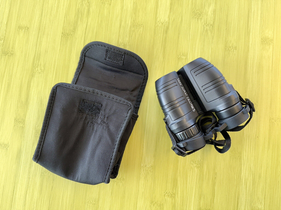 San Juan Cruises-贝灵厄姆必去景点