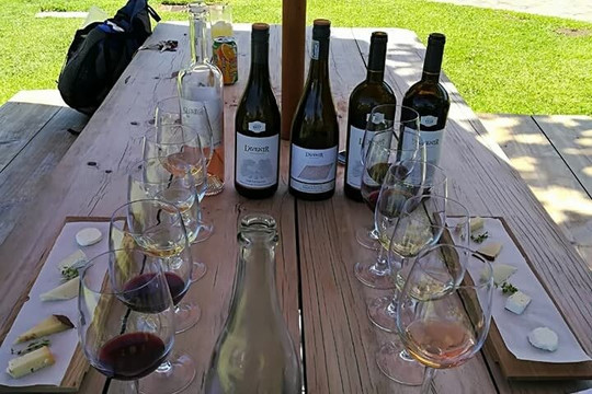 Vine Root Tours-斯泰伦博斯必去景点