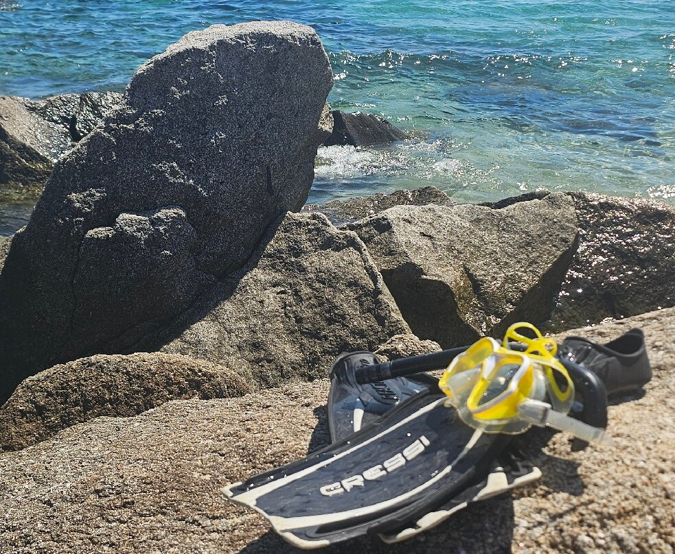 Spiaggia Arenella-Isola del Giglio必去景点