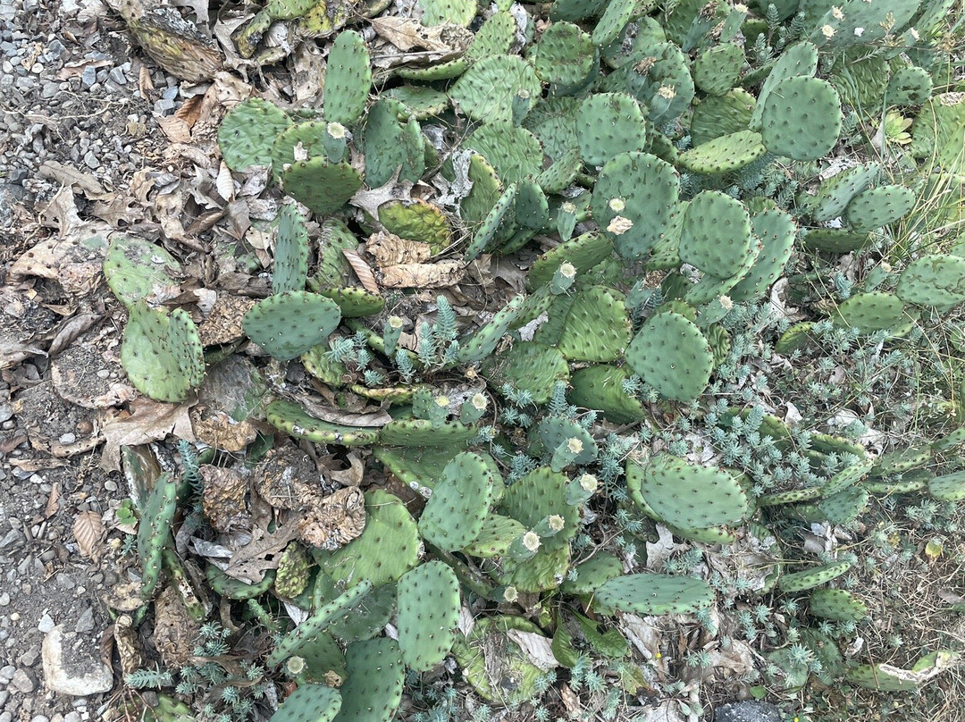 The Riverwood Conservancy-米西索加必去景点