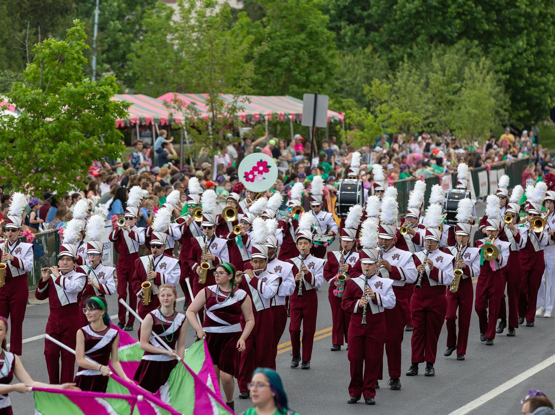 Shenandoah Apple Blossom Festival-温切斯特必去景点