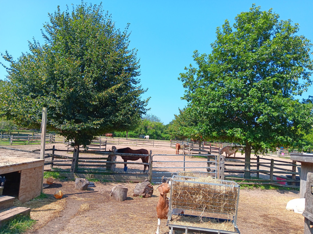 Spirit’s Promise Equine Rescue-Riverhead必去景点