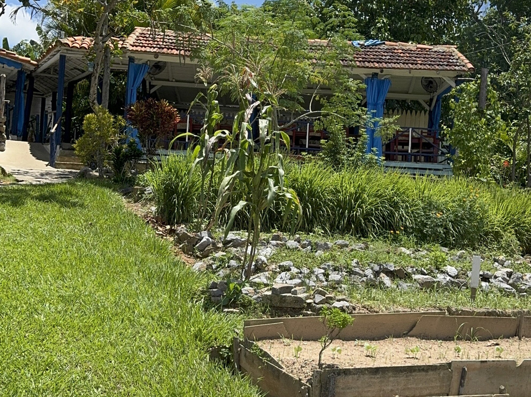 Discover Vinales-维纳勒斯必去景点