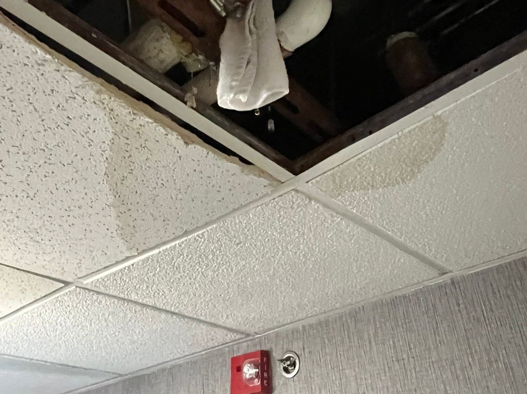 Holiday Inn Express & Suites Cleveland-Streetsboro by IHG主图