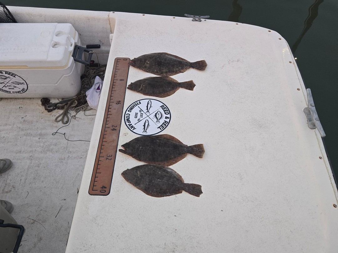 Reed And Reel Fishing Company-Chincoteague必去景点