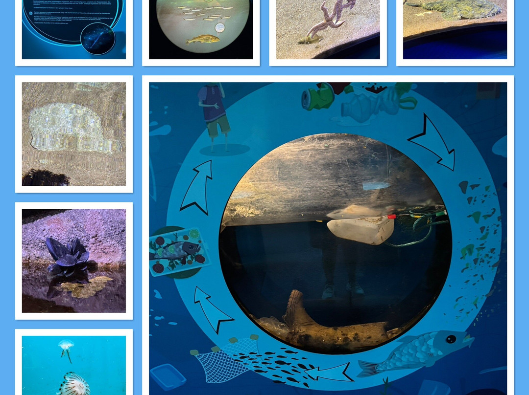 Nordsoen Oceanarium-赫茨哈斯必去景点