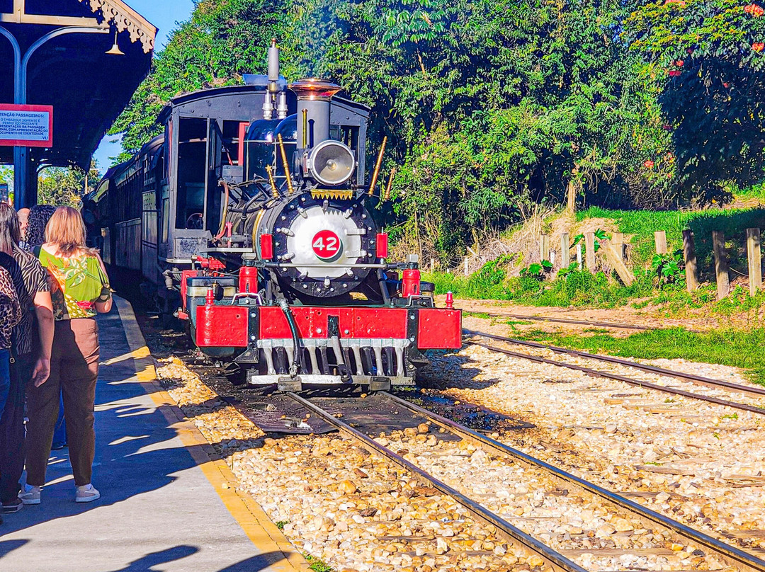 Smoking Mary Minas' Vintage Steam Trains-蒂拉登特斯必去景点