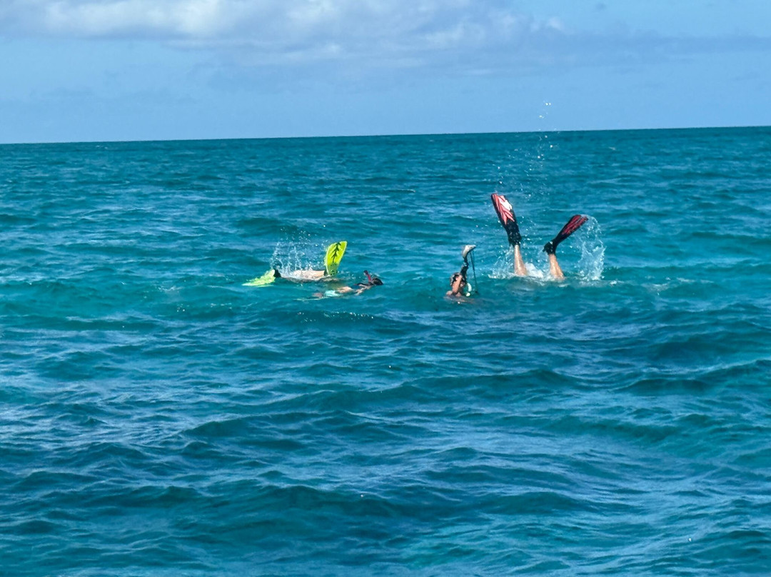 True Blue Charters | Spanish Wells Bahamas Guide-Spanish Wells必去景点