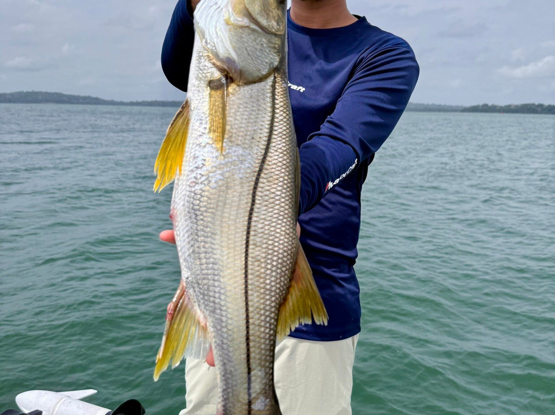 Gatun Sport Fishing Lodge-巴拿马城必去景点