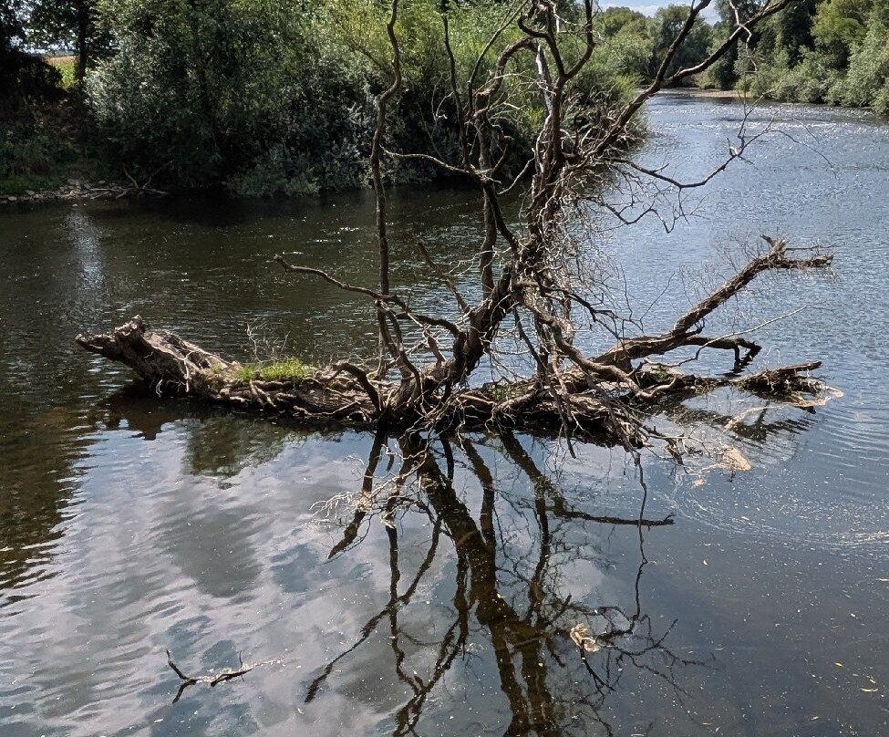 The Weir Garden-赫里福德必去景点