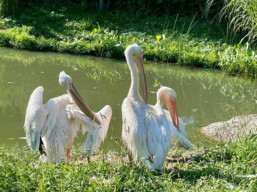 Fort Wayne Zoo-韦恩堡必去景点