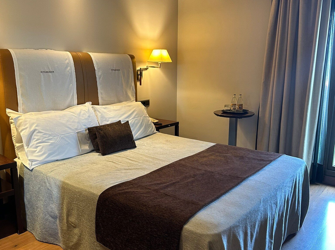 Hotel & Spa Balfagón主图
