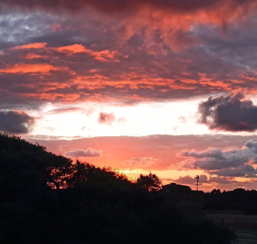 Oasis Park Hotel主图