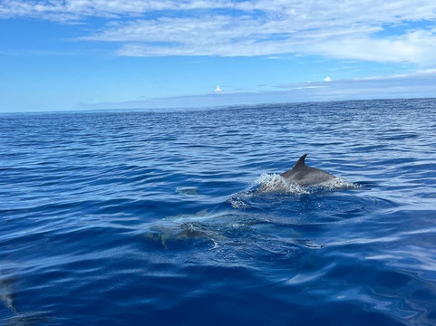 Futurismo Azores Adventures-蓬塔德尔加达必去景点
