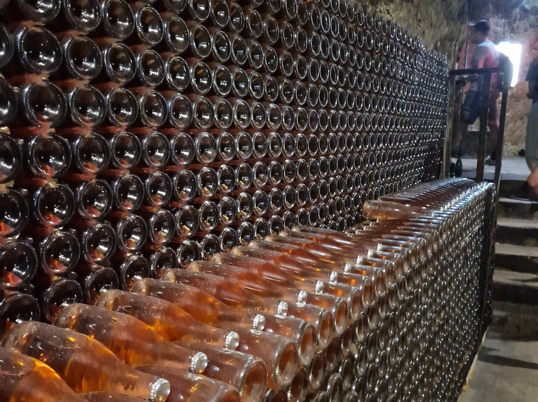 Caves Louis de Grenelle-梭缪尔必去景点