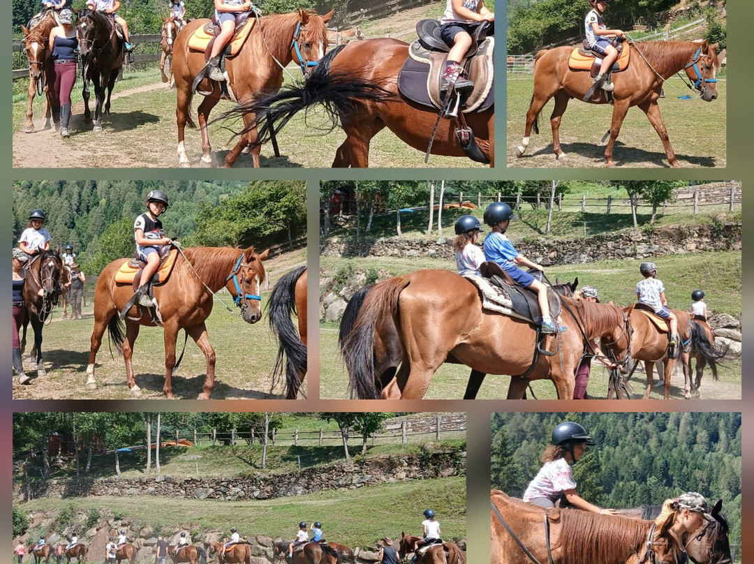 Fede Ranch-Peio必去景点